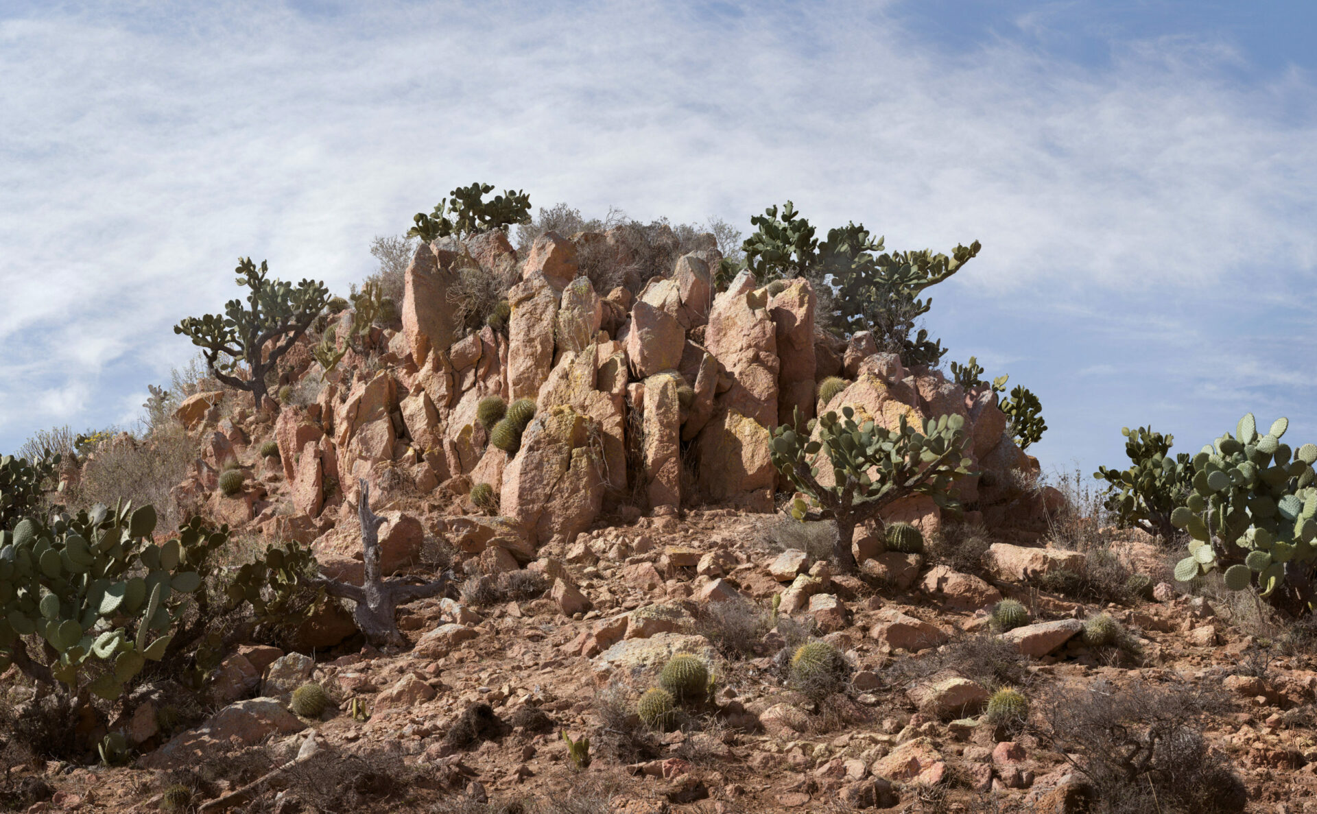88_DO03_Koerner-Steiner_Bismarck_Landscape Painting (Desert) 3