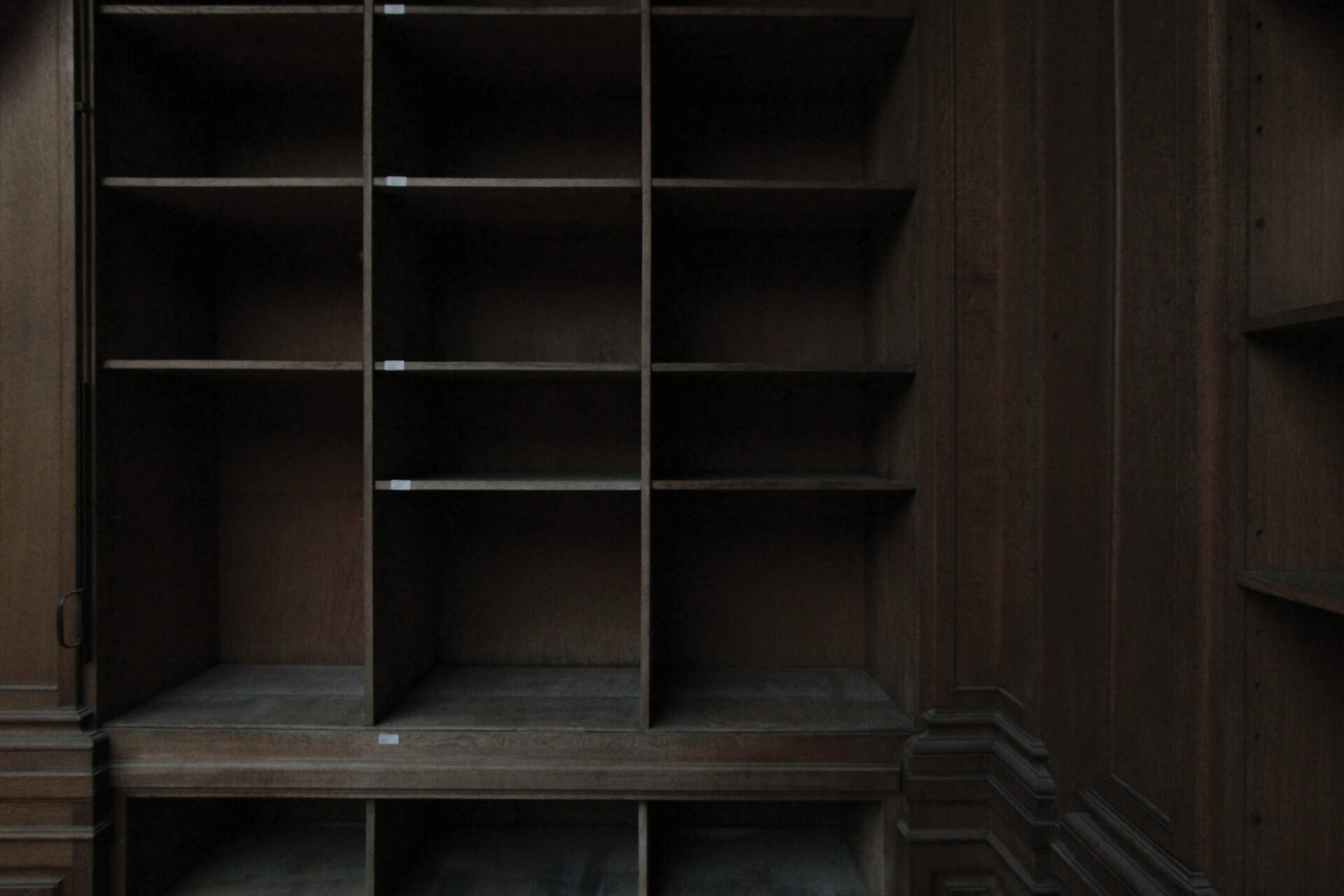 Grauerholz_Empty Shelf