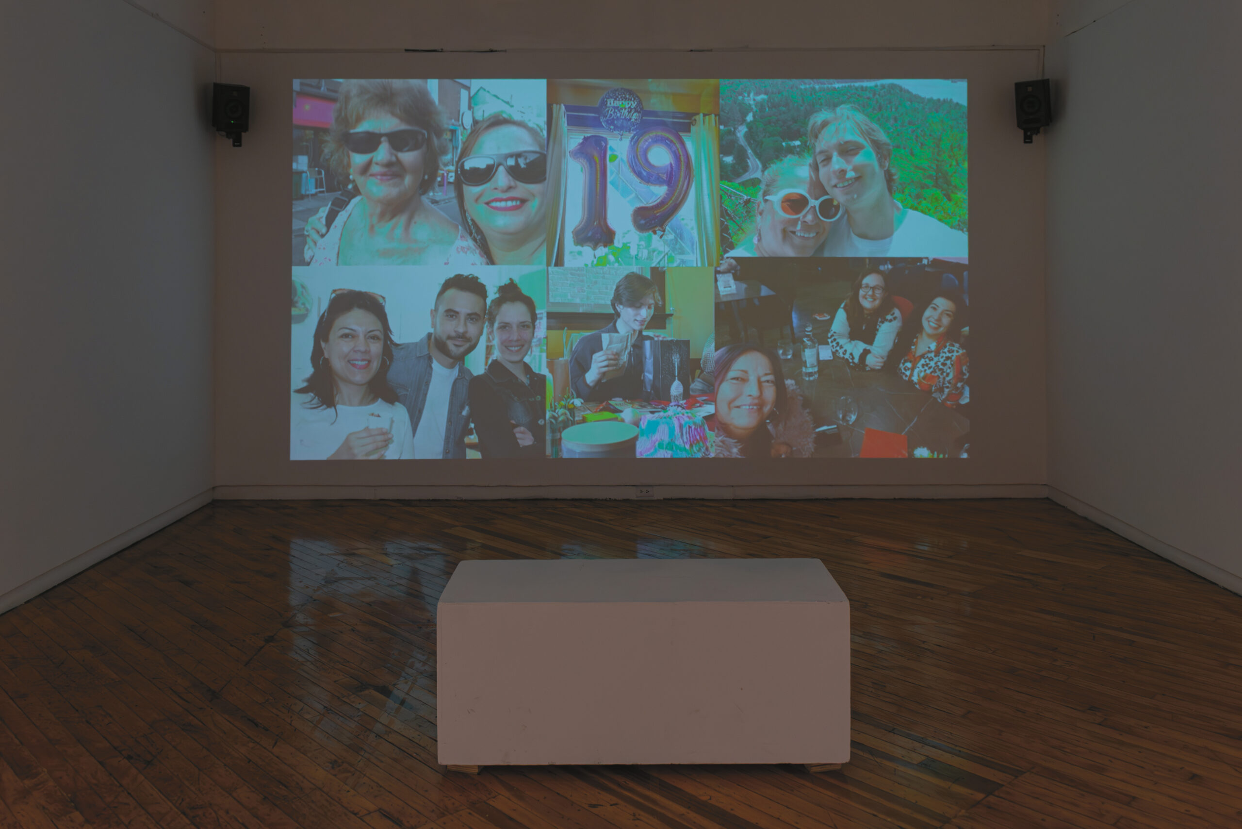 Sinara Rozo-Perdomo What It Takes To Live, exhibition views, A Space Gallery, Toronto, 2025. Photo: Selina Whittaker, courtesy of the artist & A Space Gallery, Toronto