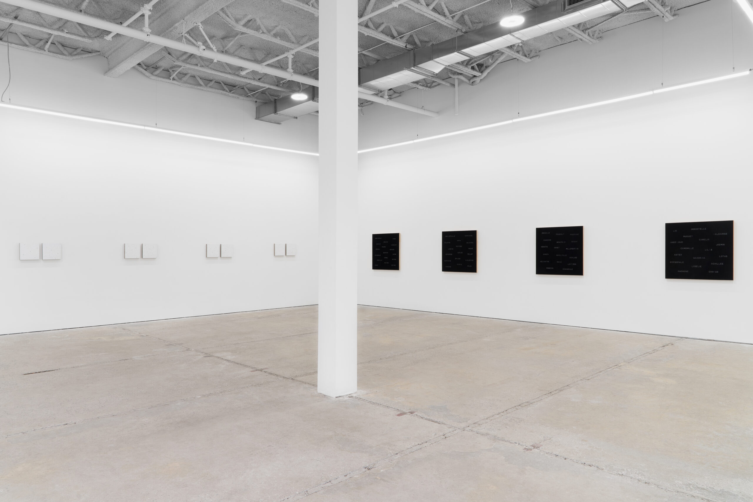 Vue d'exposition, Duo, Galerie Nicolas Robert, Montréal, 2025.Photo : Jean-Michael Seminaro, permission des artistes & de la Galerie Nicolas Robert, Montréal